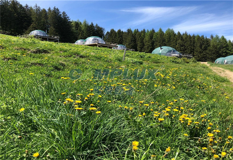 http://www.carpa-tent.com/data/images/case/20190909164600_315.jpg